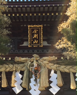 image1.JPG